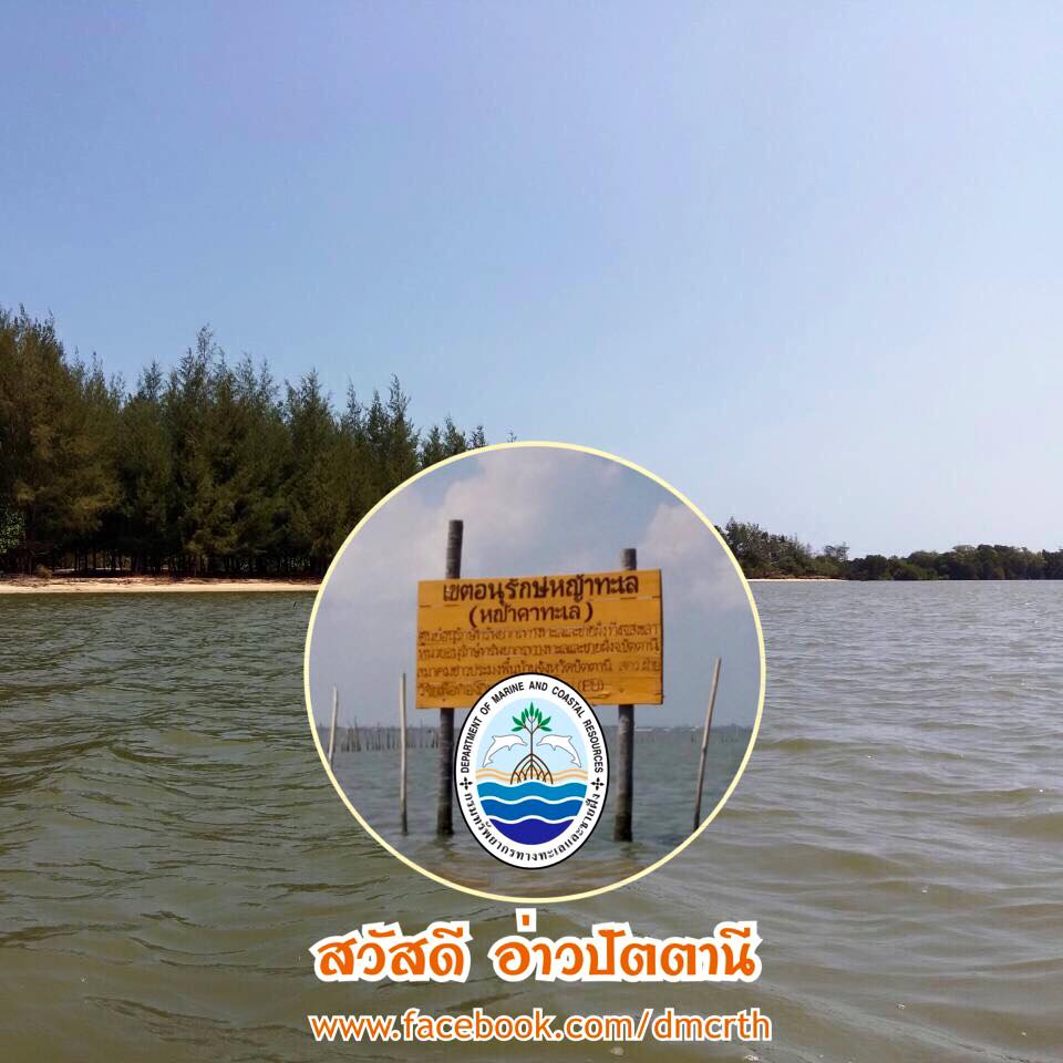 สวัสดี พี่น้องเครือข่ายรักษ์ทะเลไทย