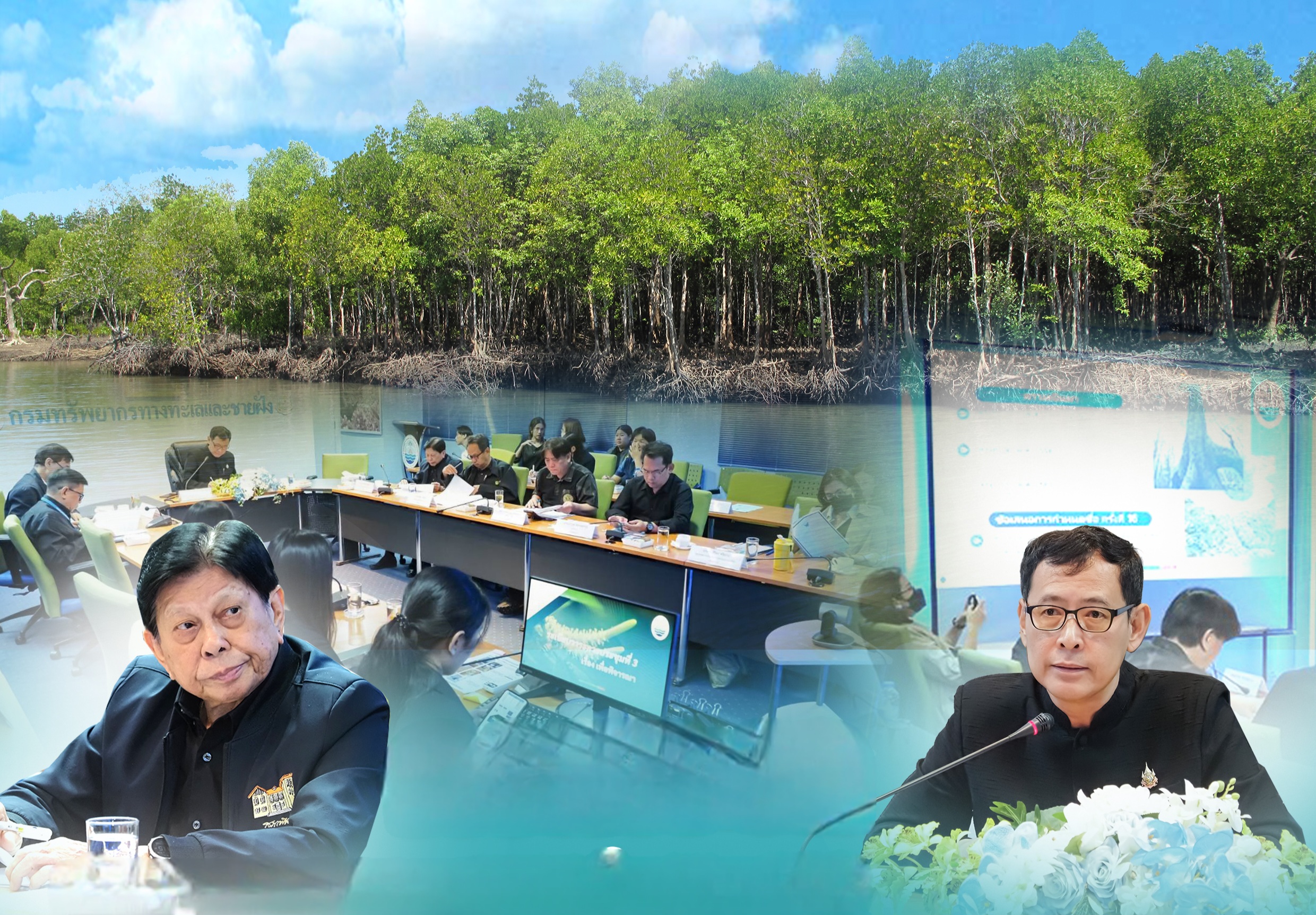 กรมทะเล ประชุมคณะกรรมการอำนวยการจัดประชุมสัมมนาป่าชายเลนแห่งชาติ