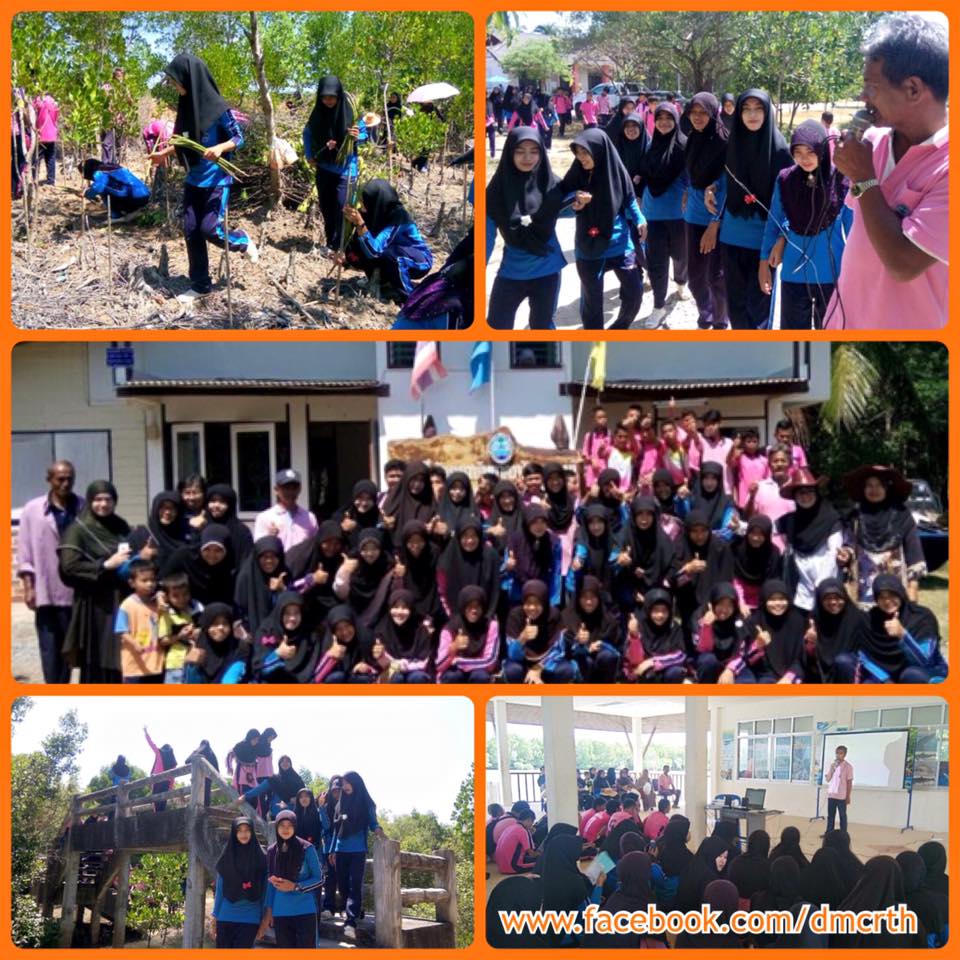 ปลูกป่าชายเลน เรียนรู้นอกสถานที่เมืองสตูล
