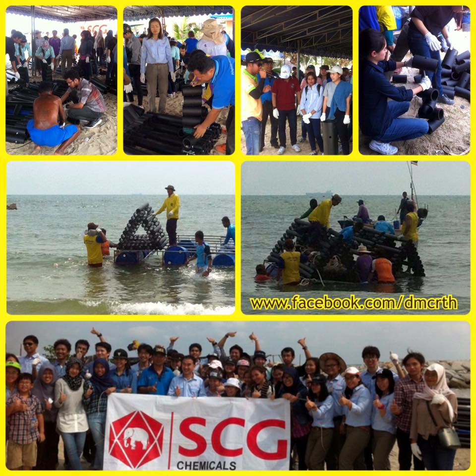 หาดงามตา ปลากลับบ้าน