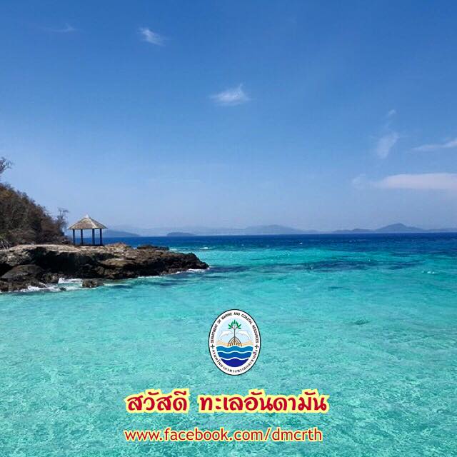 สวัสดี พี่น้องเครือข่ายรักษ์ทะเลไทย