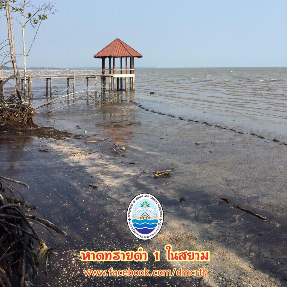 สวัสดี พี่น้องเครือข่ายรักษ์ทะเลไทย