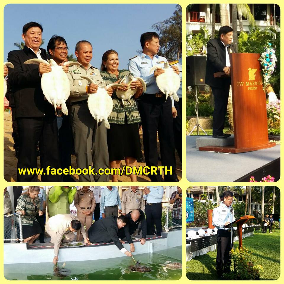 ทช.ร่วมเปิดโครงการฟื้นฟูแหล่งวางไข่เต่าทะเล