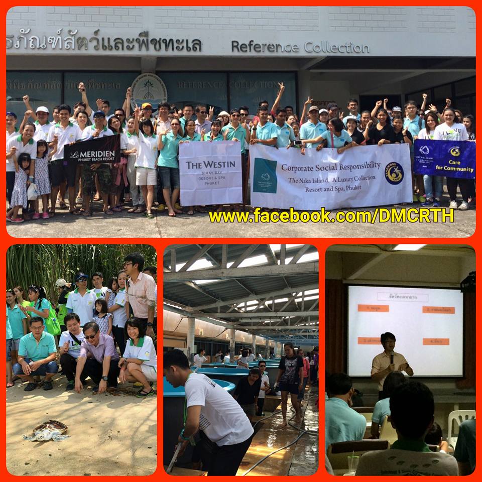 ทช. ร่วมใจภาคเอกชนรักษ์เต่าทะเล