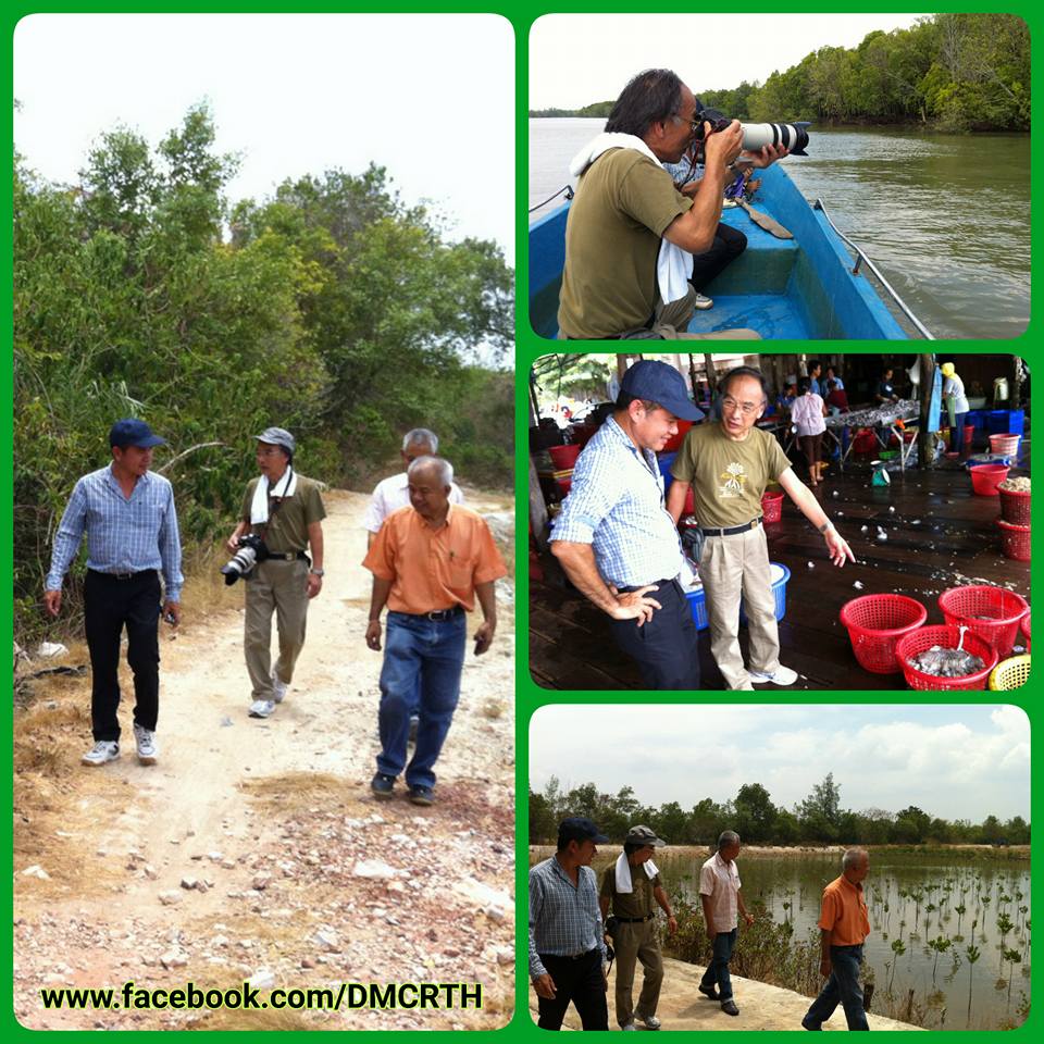 นำชมป่าชายเลน สตูล ประสานความร่วมมืออนุรักษ์