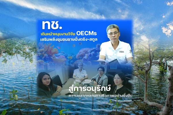 ทช. เดินหน้าหนุนงานวิจัย OECMs เสริมพลังชุมชนชายฝั่ง ตรัง–สตูล สู่การอนุรักษ์ความหลากหลายทางชีวภาพอย่างยั่งยืน