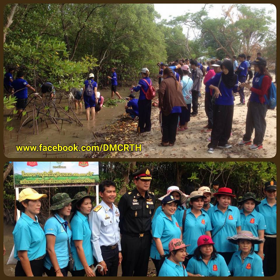 ปลูกป่าชายเลนเฉลิมพระเกียรติ สุราษฎร์ธานี