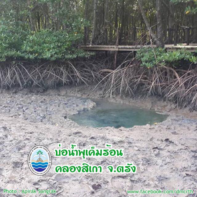 สวัสดี พี่น้องเครือข่ายรักษ์ทะเลไทย