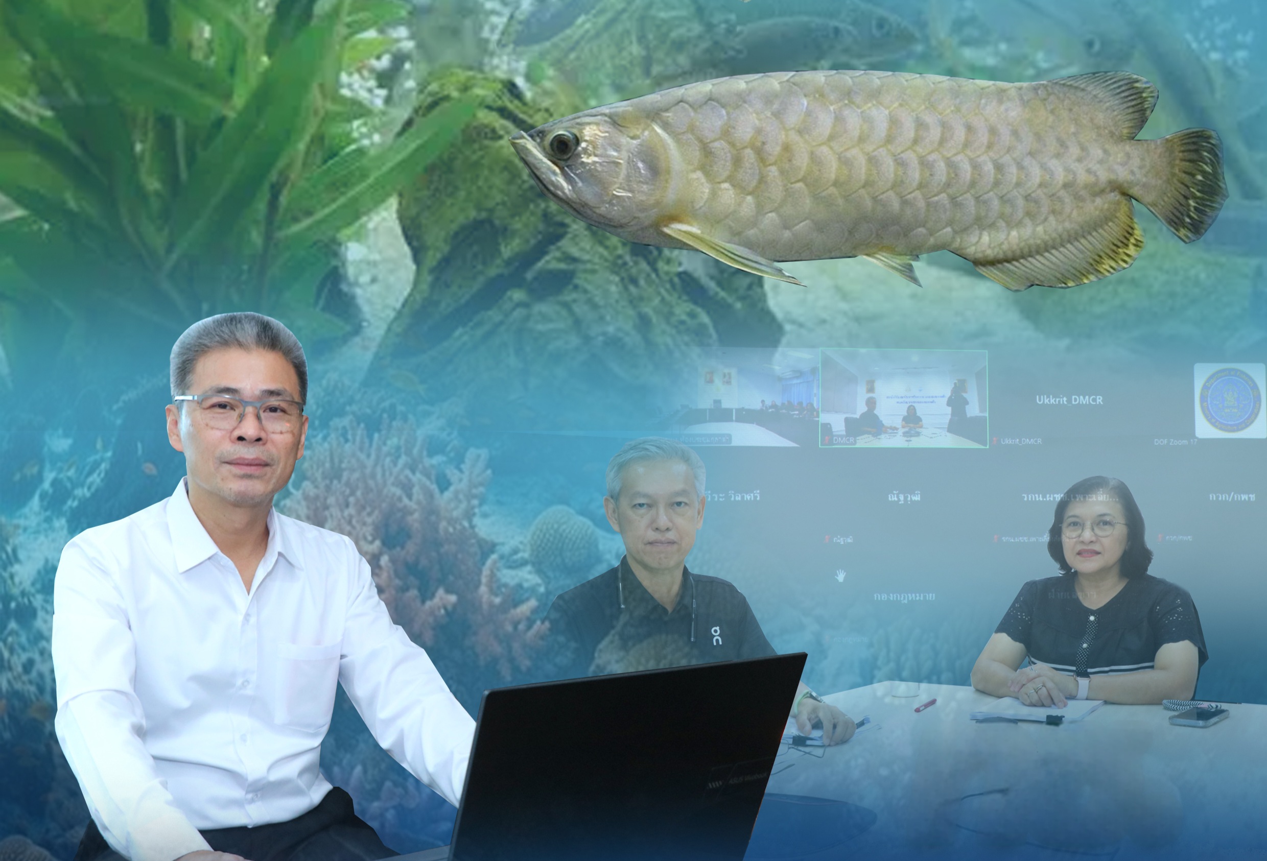 ทช. ร่วมประชุมคณะกรรมการฝ่ายวิชาการ พิจารณาสถานภาพสัตว์ป่าที่เป็นสัตว์น้ำ ตาม พ.ร.บ.สงวนและคุ้มครองสัตว์ป่า