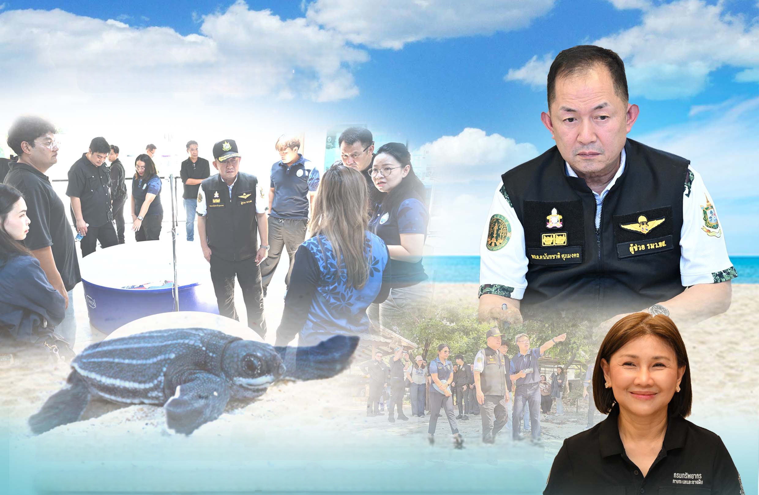 “รมว.สุชาติ” เดินหน้าผลักดันการอนุรักษ์เต่ามะเฟืองไทยสู่มาตรฐานโลก ชูความร่วมมือรัฐ–ชุมชน–นานาชาติ ฟื้นประชากรเต่าเพิ่มเกือบ 6 เท่า