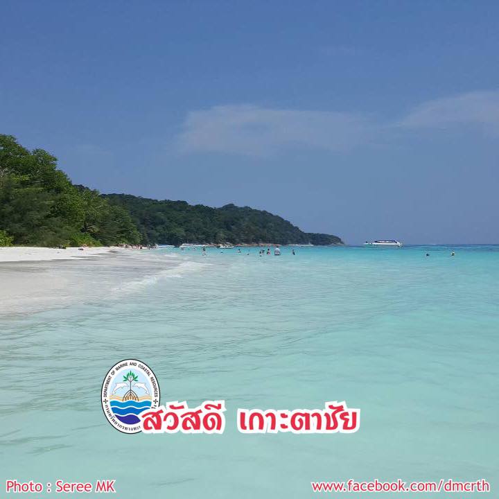 สวัสดี พี่น้องเครือข่ายรักษ์ทะเลไทย