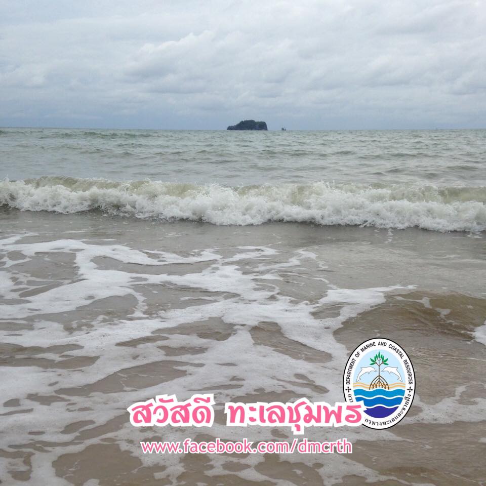 สวัสดี พี่น้องเครือข่ายรักษ์ทะเลไทย