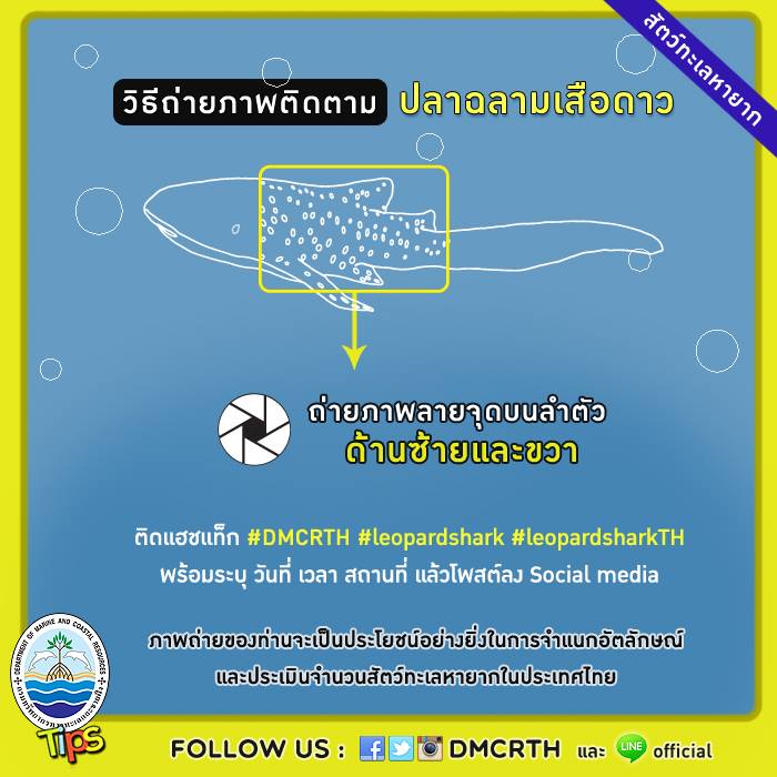 ร่วมด้วยช่วยกัน