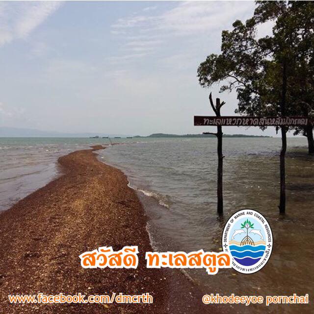 สวัสดี พี่น้องเครือข่ายรักษ์ทะเลไทย