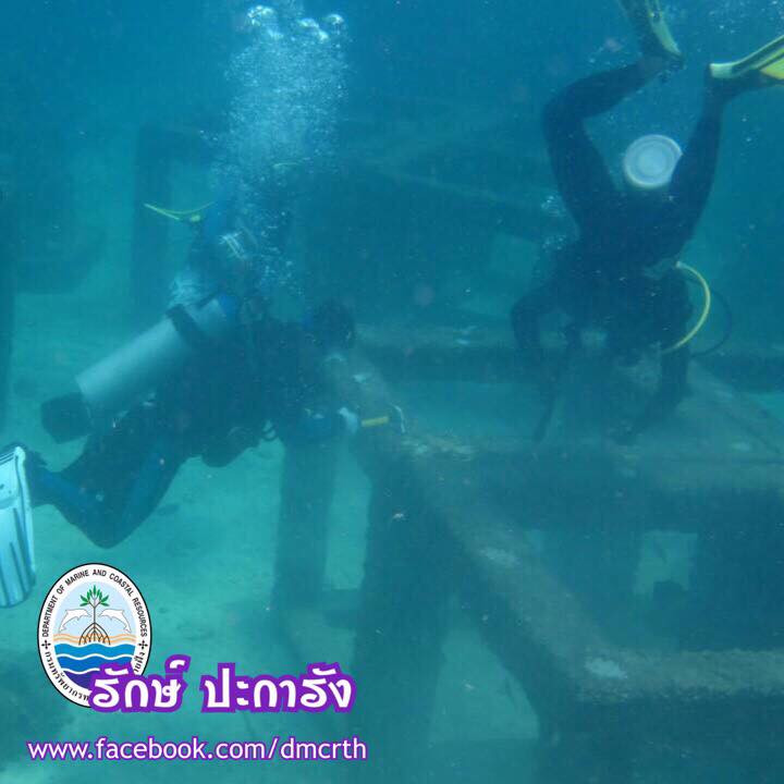 สวัสดี พี่น้องเครือข่ายรักษ์ทะเลไทย