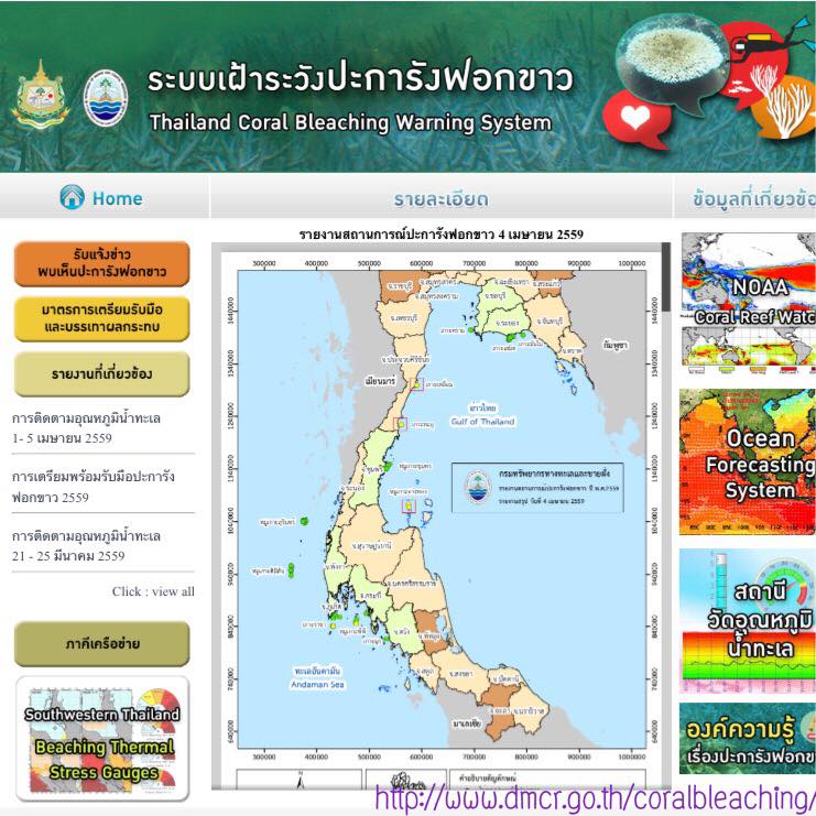 ติดตามสถานการณ์ปะการังฟอกขาวอย่างใกล้ชิด
