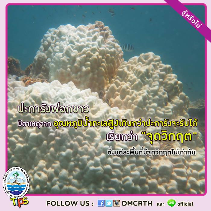 เกร็ดความรู้ ทช.