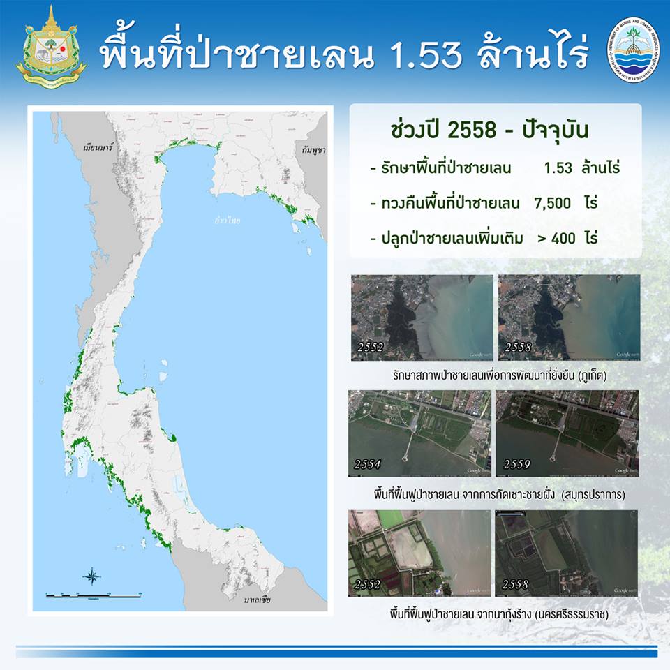 ทช. ตรวจสอบพื้นที่ป่าชายเลนไทย มีแนวโน้มดีขึ้น