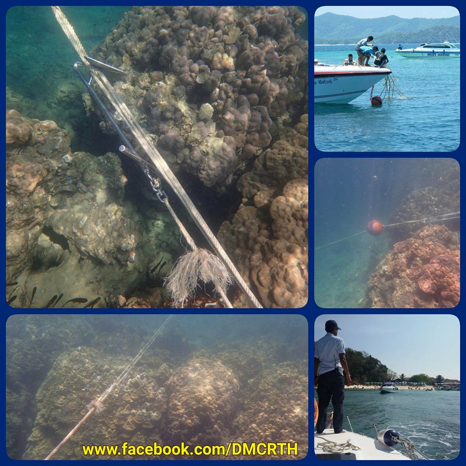 เดินหน้าดำเนินคดีเรือนำเที่ยวทิ้งสมอในแนวปะการัง พังงา
