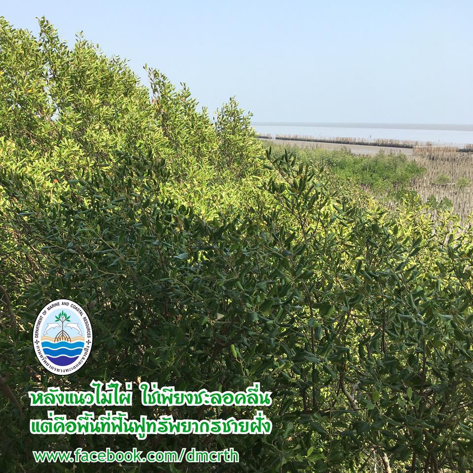 สวัสดี พี่น้องเครือข่ายรักษ์ทะเลไทย