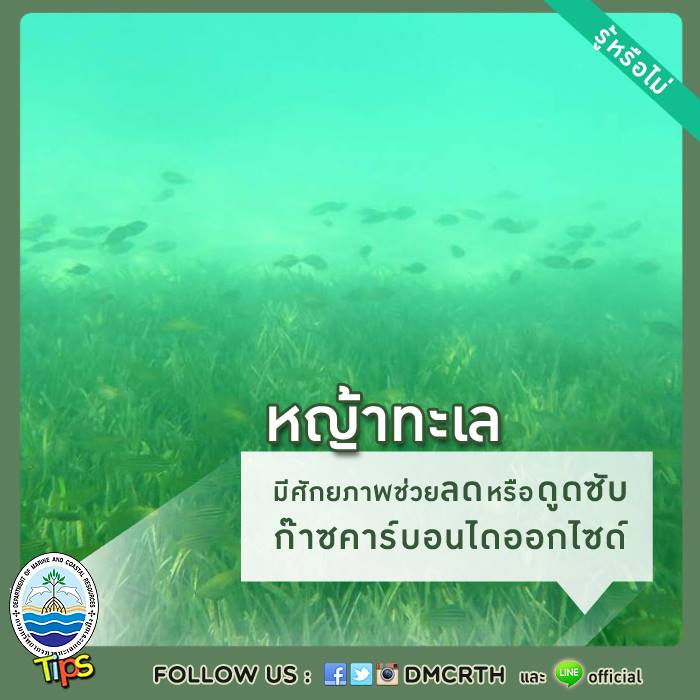 เกร็ดความรู้ ทช.