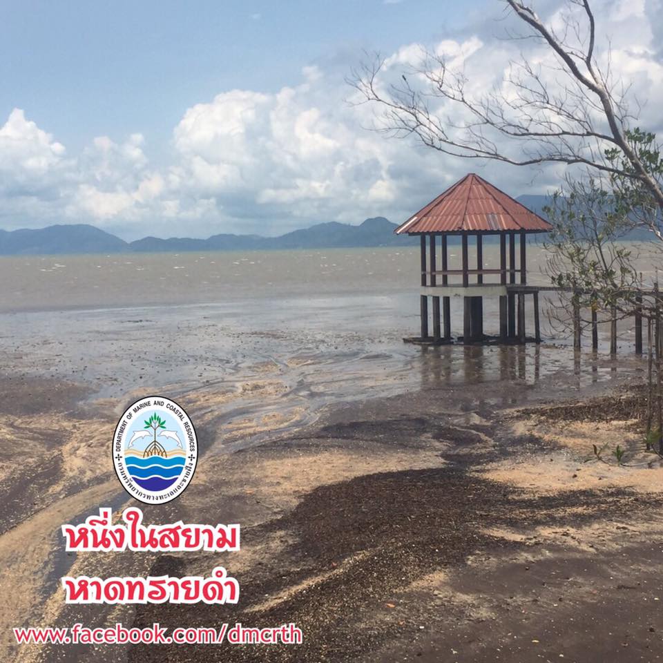 สวัสดี พี่น้องเครือข่ายรักษ์ทะเลไทย
