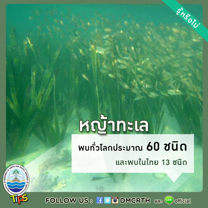 เกร็ดความรู้ ทช.