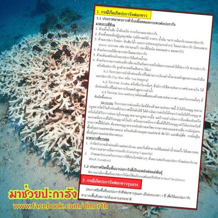 มาช่วยปะการังกันเถอะ