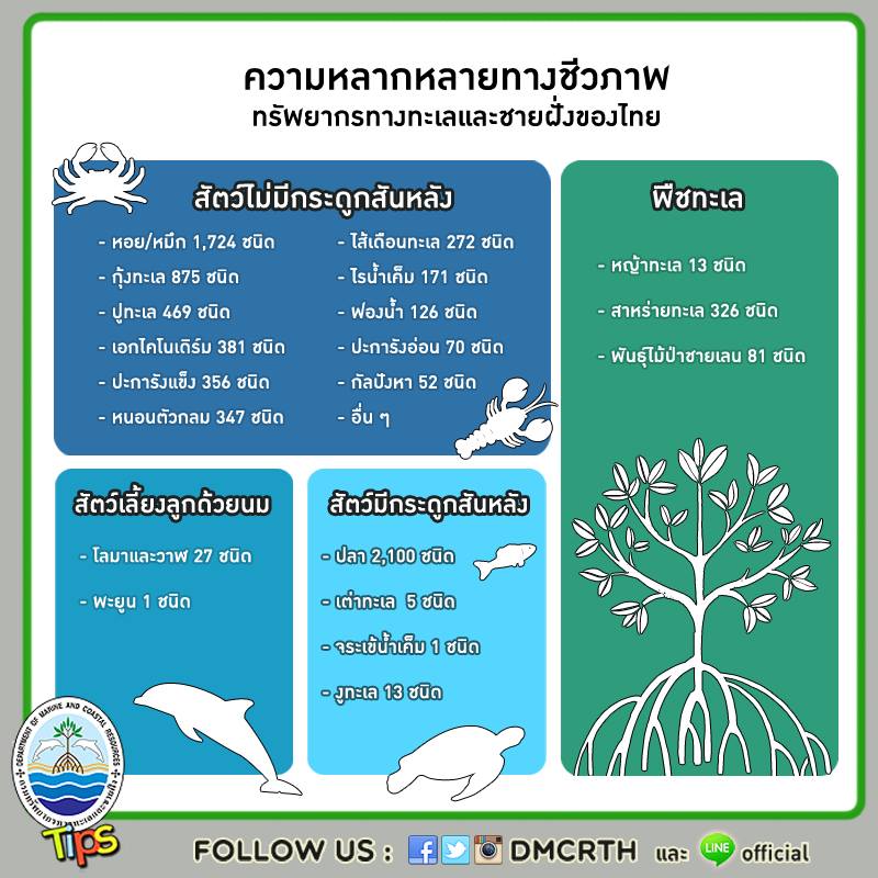 เกร็ดความรู้ ทช.