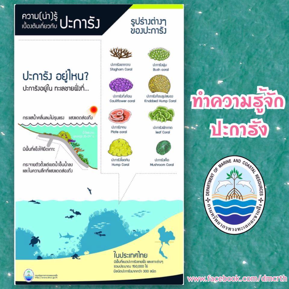 รู้จักกันก่อน ปะการัง