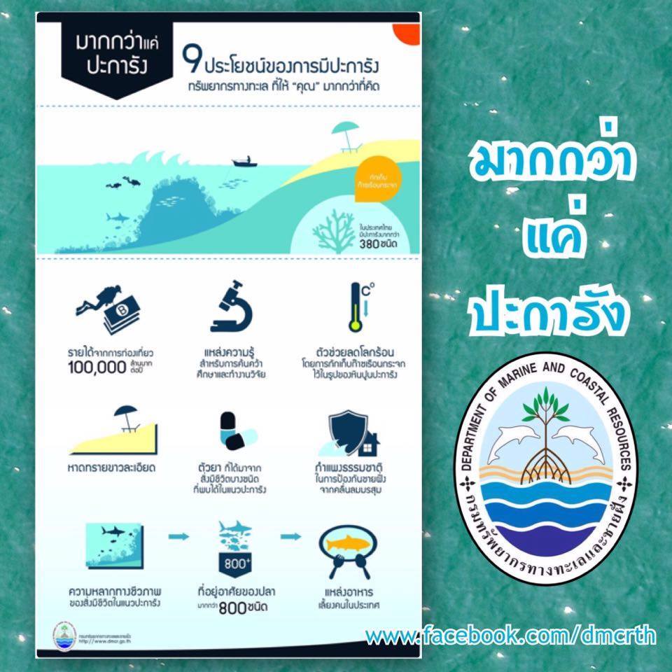 คุณค่าปะการังไทย