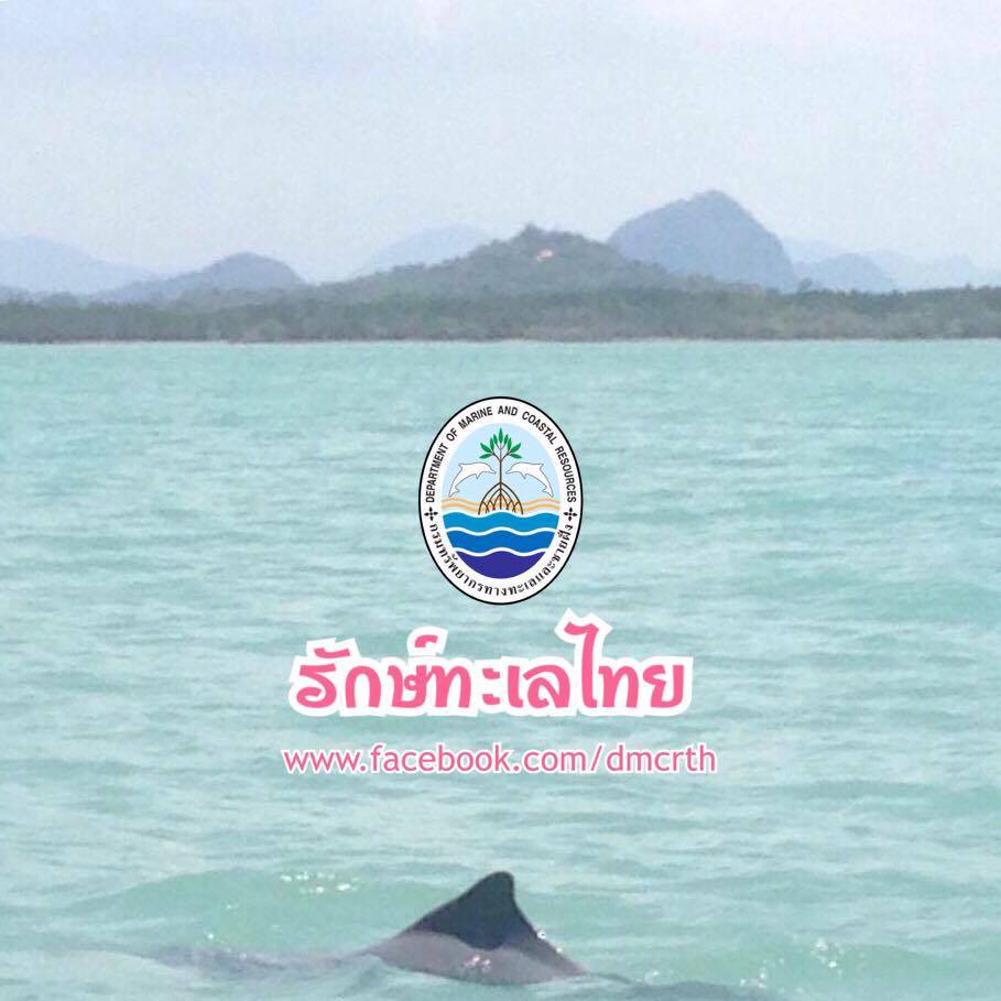 สวัสดี พี่น้องเครือข่ายรักษ์ทะเลไทย