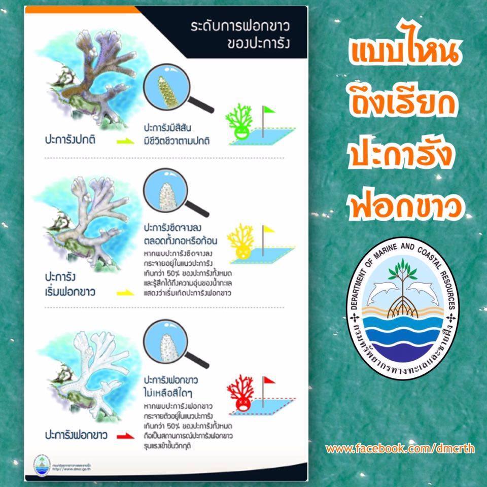 ระดับความรุนแรงของปะการังฟอกขาว