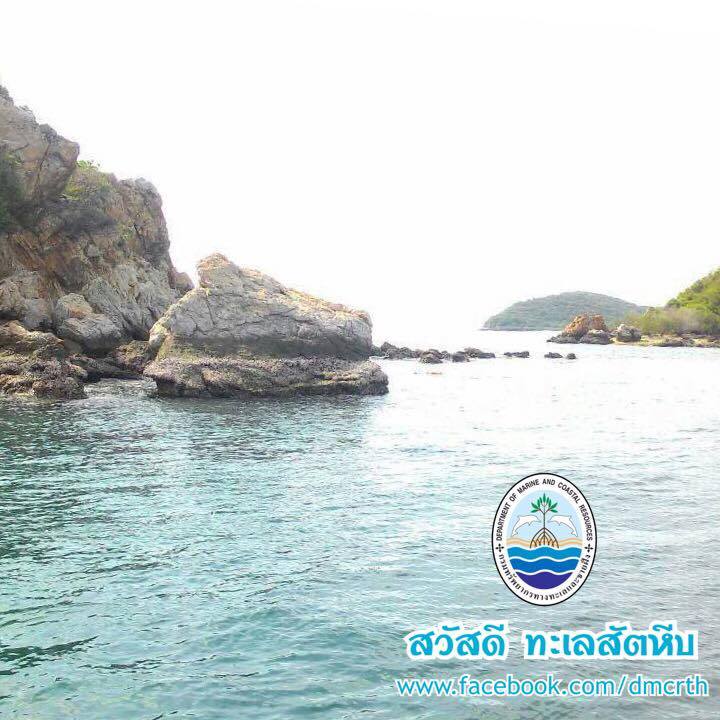 สวัสดี พี่น้องเครือข่ายรักษ์ทะเลไทย