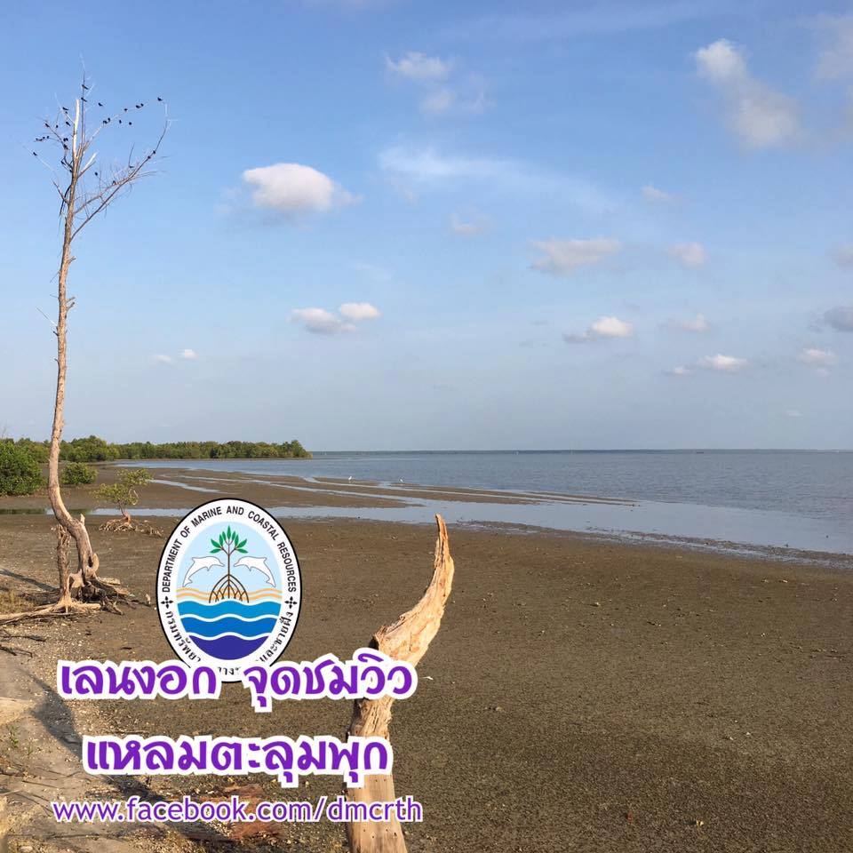 สวัสดี พี่น้องเครือข่ายรักษ์ทะเลไทย