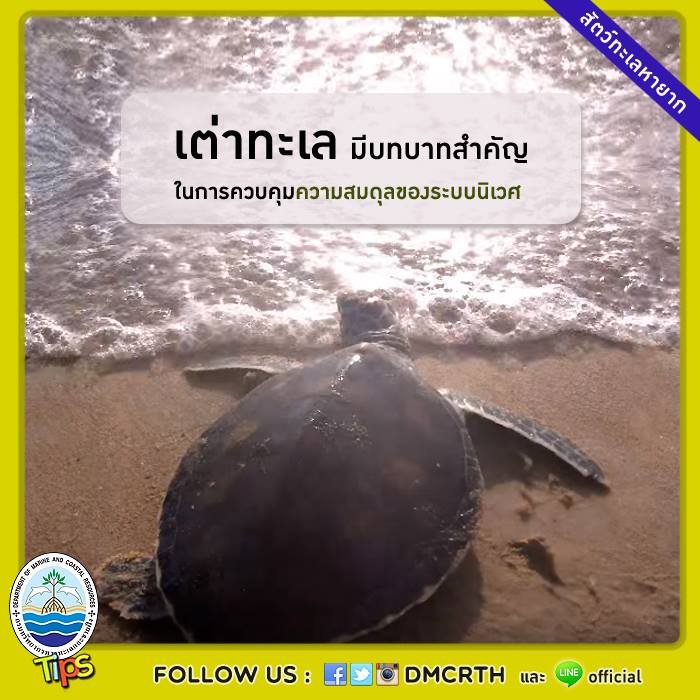 เกร็ดความรู้ ทช.