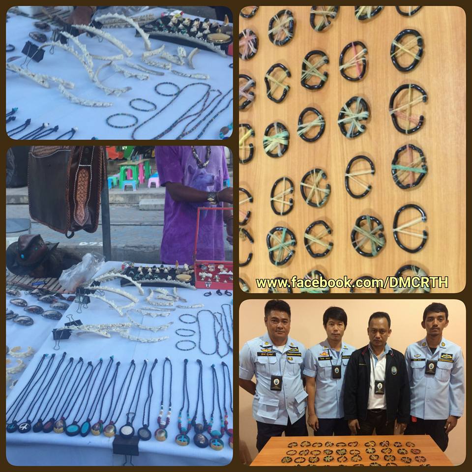 กัลปังหา ห้ามซื้อ ขาย ครอบครองโดยไม่ได้รับอนุญาต