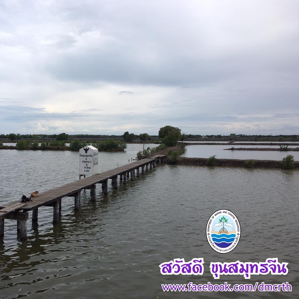 สวัสดี พี่น้องเครือข่ายรักษ์ทะเลไทย