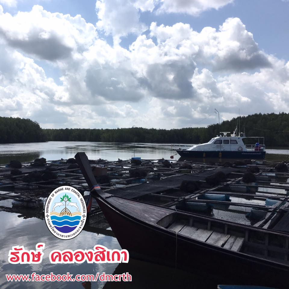 สวัสดี พี่น้องเครือข่ายรักษ์ทะเลไทย