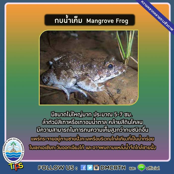 เกร็ดความรู้ ทช.