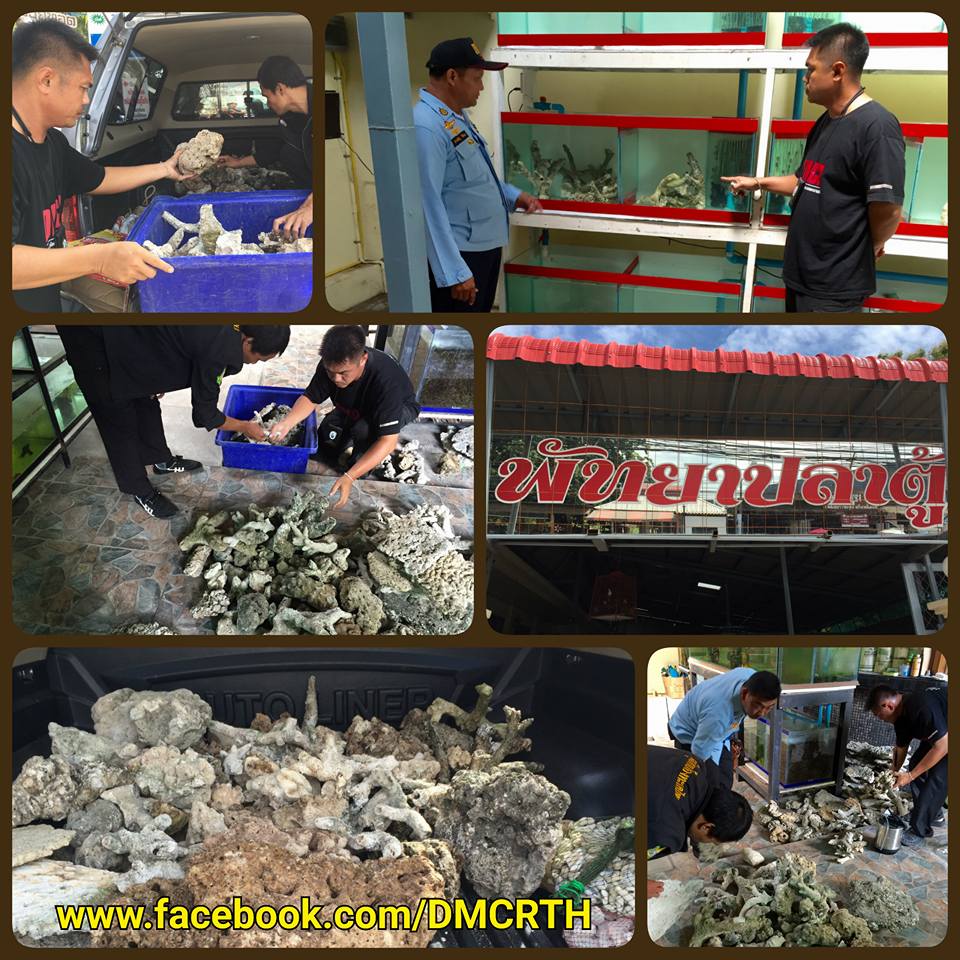 ทช. ชลบุรี จับลักลอบค้าซากปะการัง