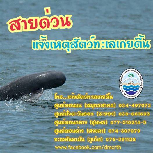 เราช่วยพวกเขาได้