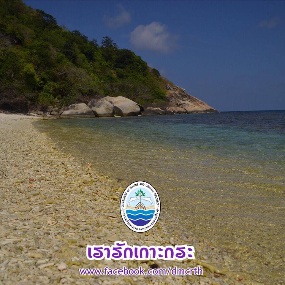 สวัสดี พี่น้องเครือข่ายรักษ์ทะเลไทย