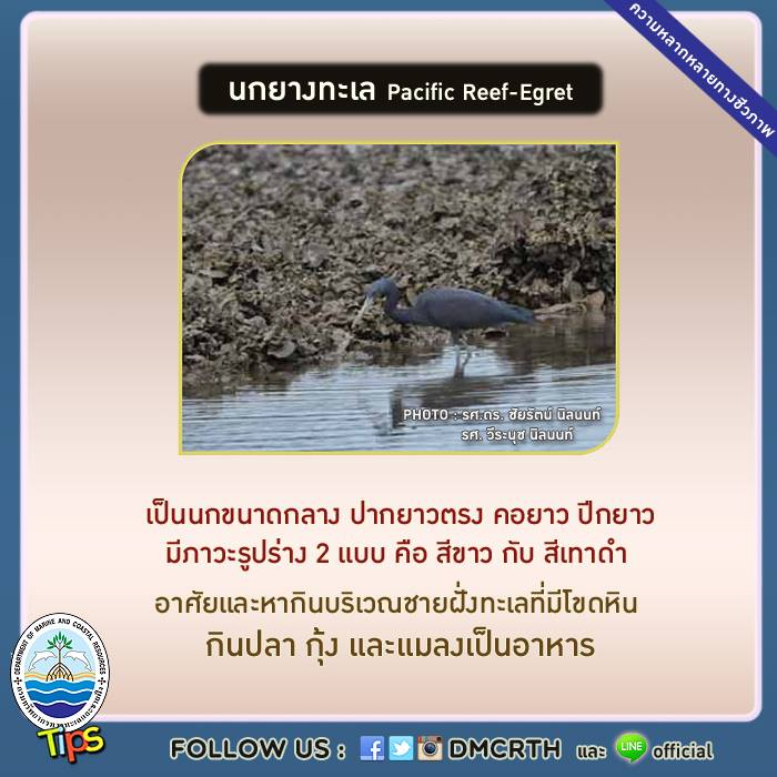 เกร็ดความรู้ ทช.