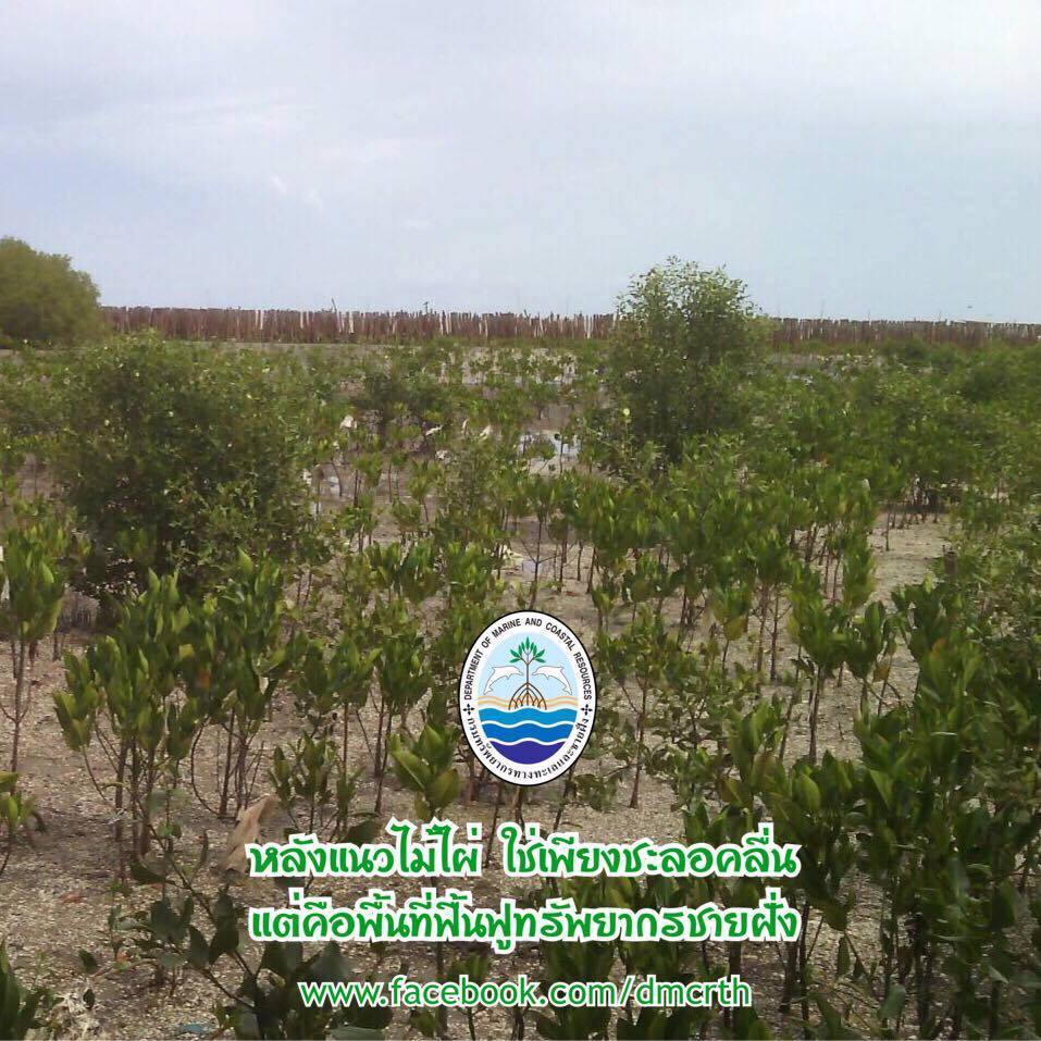 สวัสดี พี่น้องเครือข่ายรักษ์ทะเลไทย