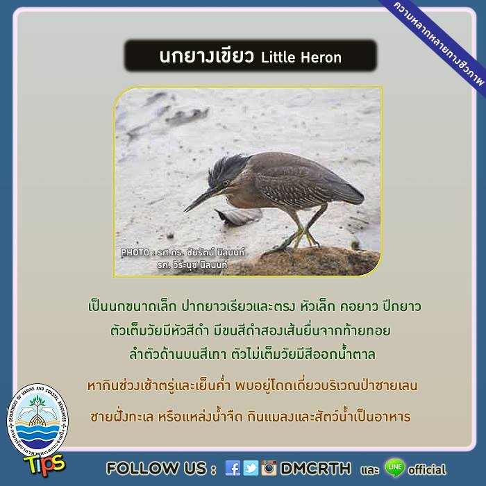 เกร็ดความรู้ ทช.