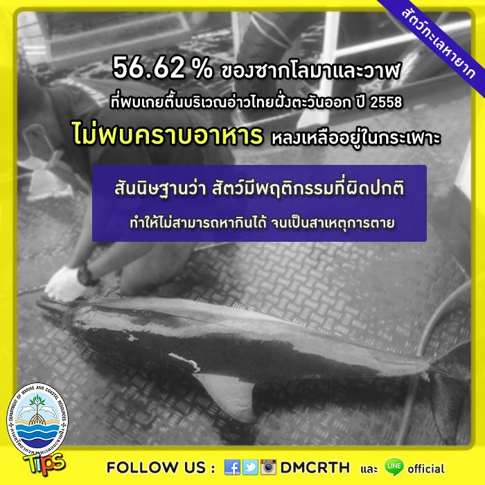 เกร็ดความรู้ ทช.