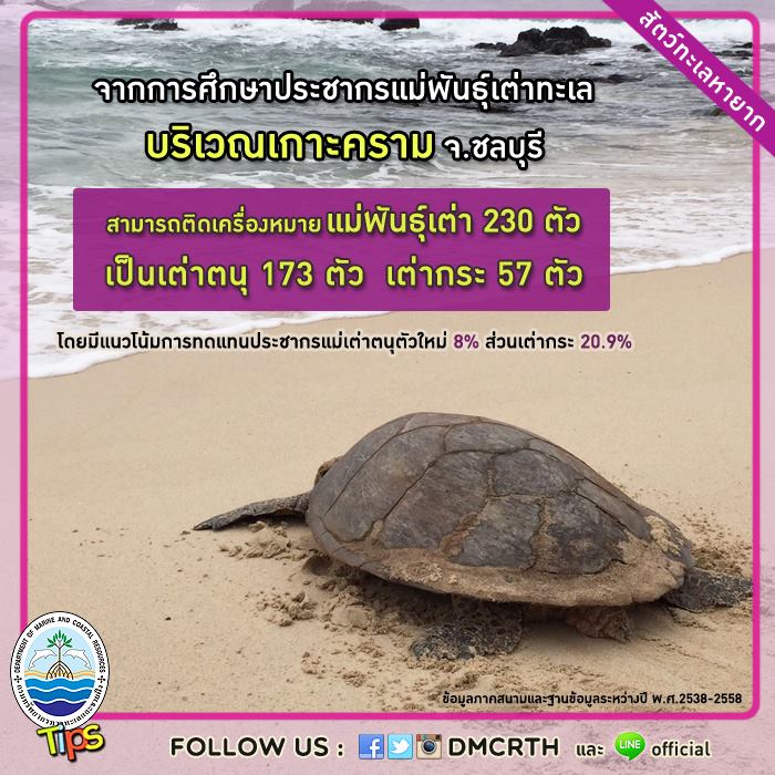 เกร็ดความรู้ ทช.
