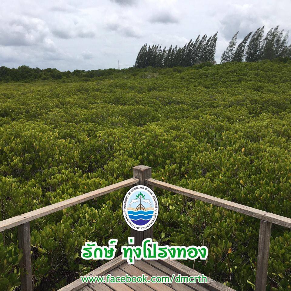 สวัสดี พี่น้องเครือข่ายรักษ์ทะเลไทย