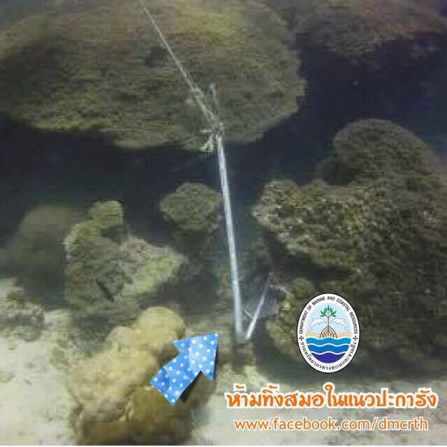 สวัสดี พี่น้องเครือข่ายรักษ์ทะเลไทย